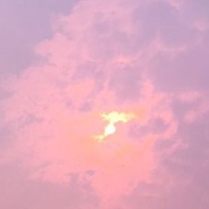 Meet your Posher, Chelan